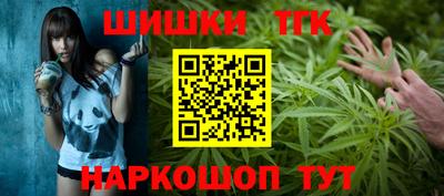 шишки Лесосибирск