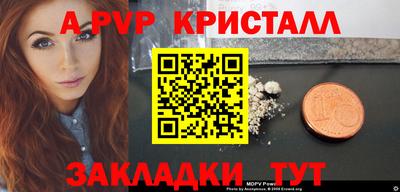 шишки Лесосибирск