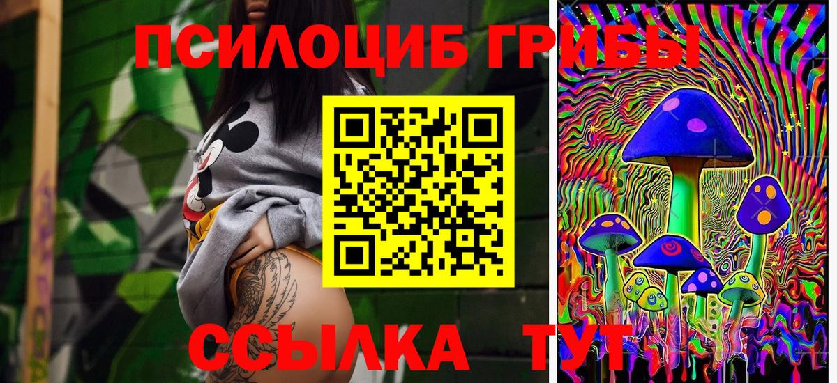 Домодедово  Псилоцибиновые грибы Psilocybe  что такое наркотик  Вход с VPN 
